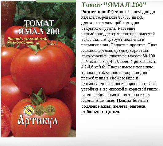 Описание гибридного томата шакира и особенности выращивания растения