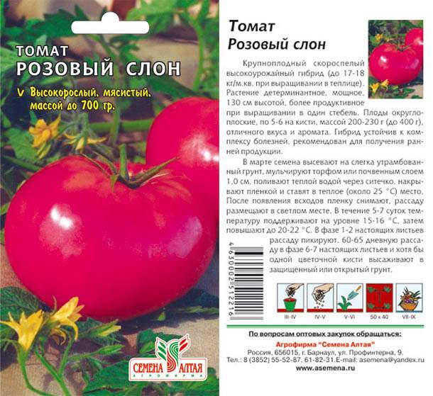 Характеристика и описание сорта томата Розовый Слон и его урожайность