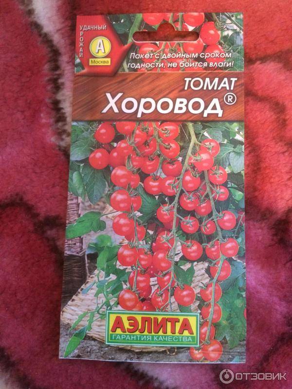 ✅ томат хоровод отзывы фото - питомник46.рф