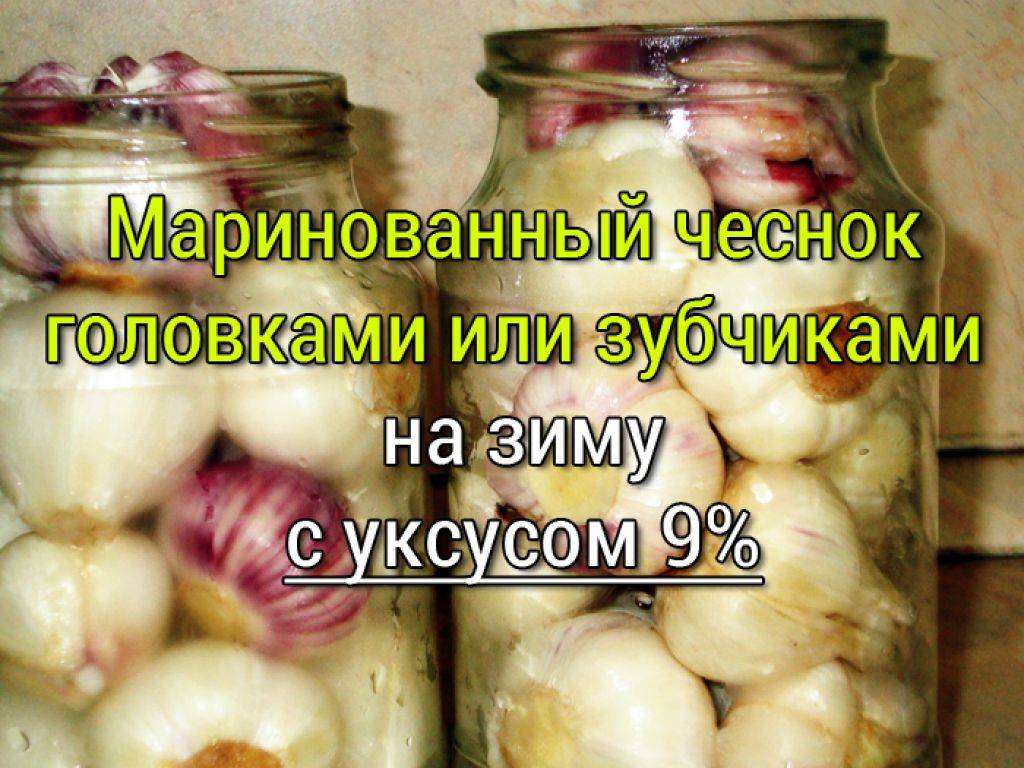 Маринованный чеснок на зиму — 5 рецептов с фото пошагово