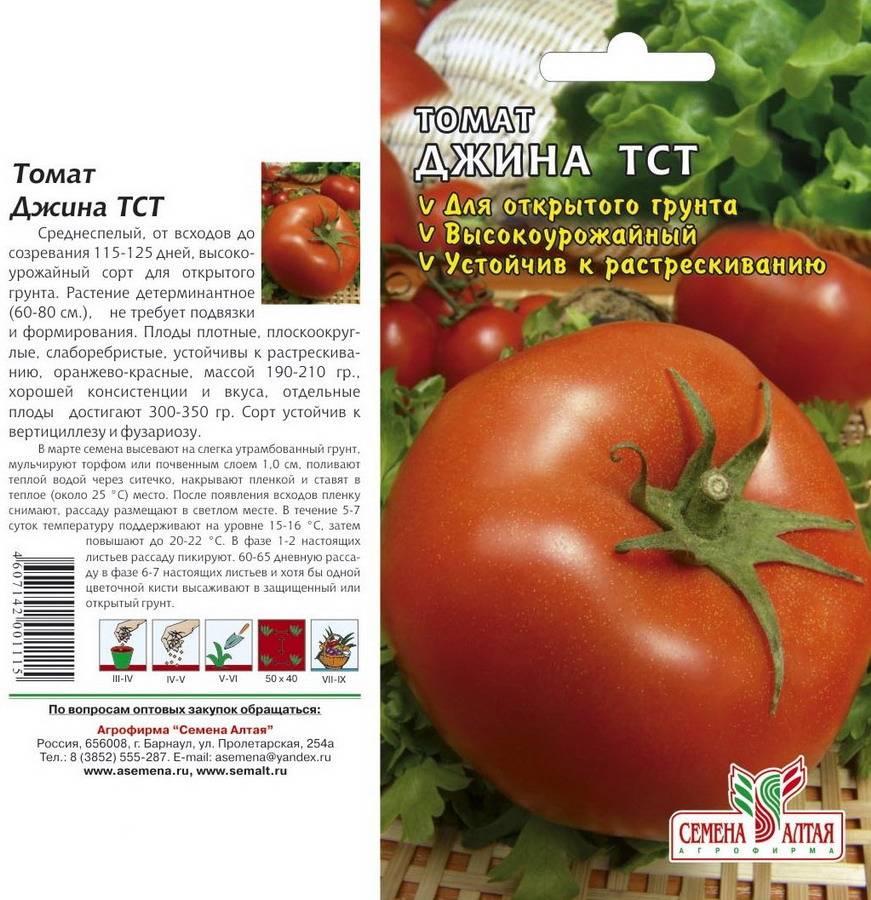 Помидоры: лучшие сорта томатов, посадка и уход, выращивание из семян, подвязывание, фото помидор, посадка рассады