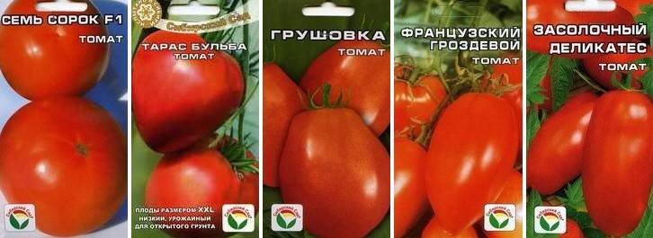 Лучшие сорта томат для открытого грунта на урале