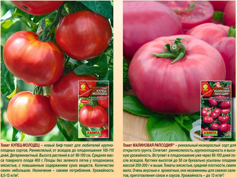 Сорт чудо света: описание томатов оригинального вида