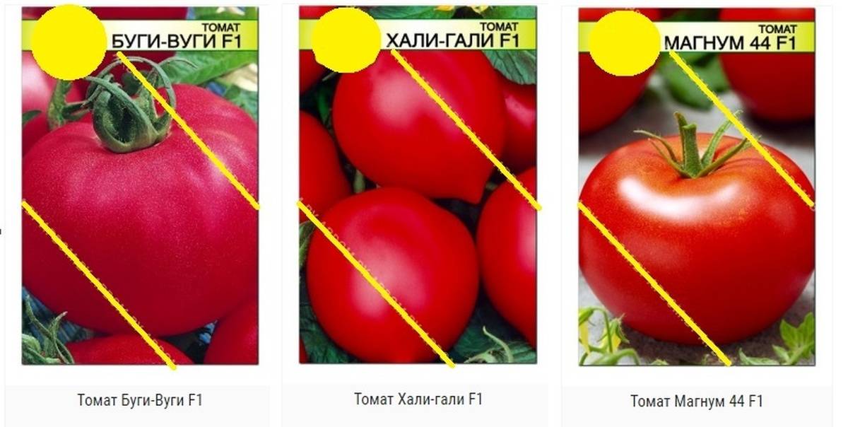 Семена томат буги-вуги f1: описание сорта, фото. купить с доставкой или почтой россии.