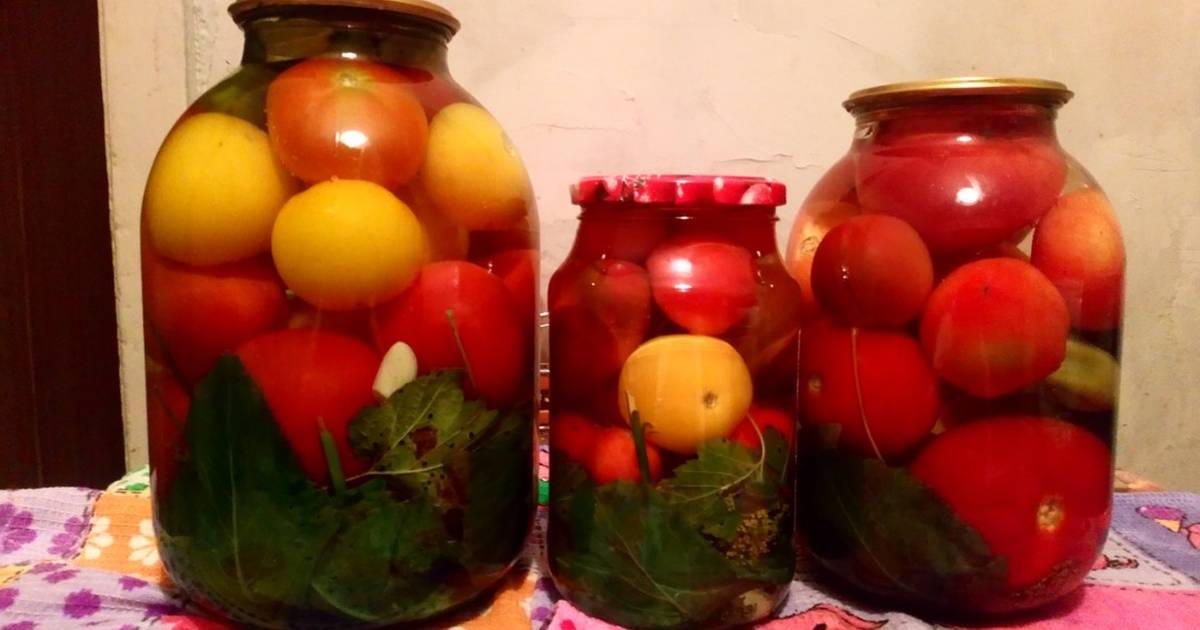 Как засолить помидоры на зиму в банках - 6 рецептов заготовок