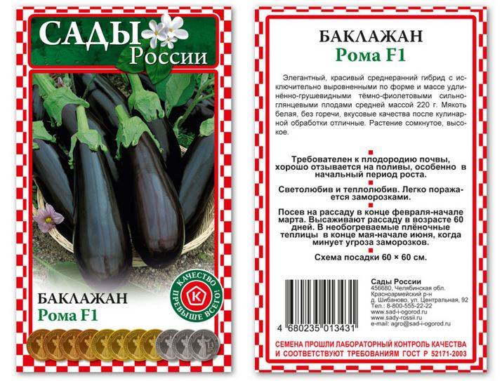 Баклажан рома f1: выращивание и уход, отзывы и фото, достоинства и недостатки, урожайность