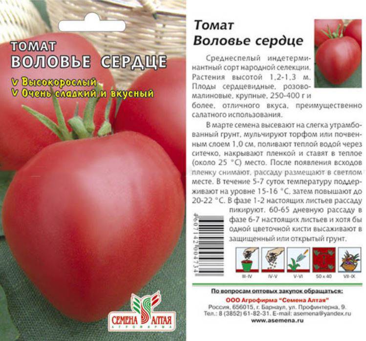 Сорта розовых томатов (90 фото) — самый полный каталог