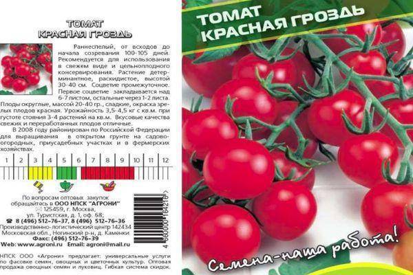 Характеристика томата жемчужина красная и техника выращивания сорта