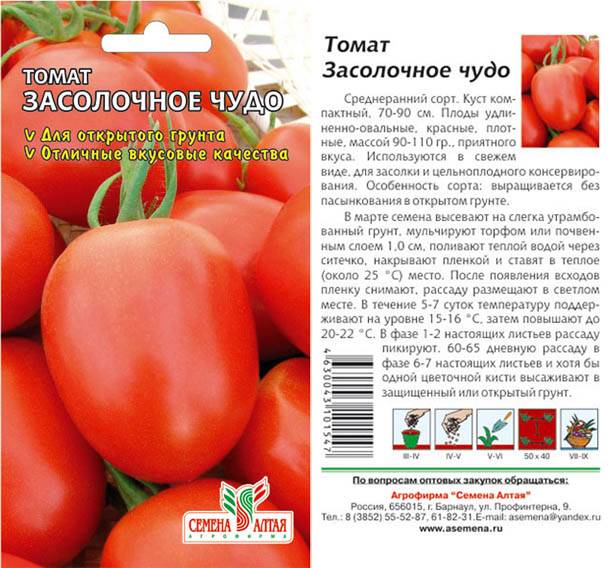 Описание и характеристики сорта томата Засолочное чудо, его урожайность