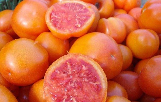 Характеристика и описание сорта томата Грейпфрут