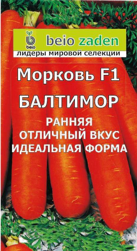 Морковь абако f1: описание сорта, фото, отзывы