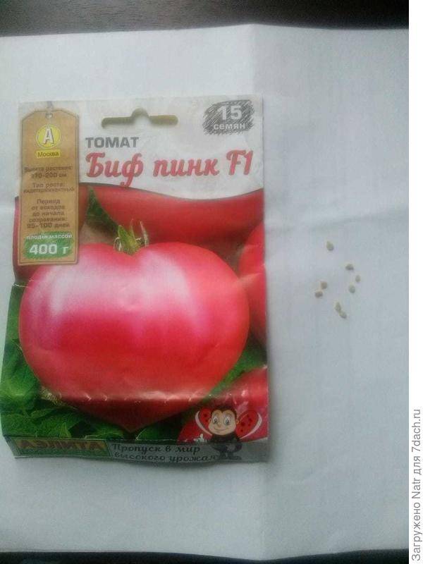 Что такое биф-томаты, описание и характеристики сортов, правила выращивания