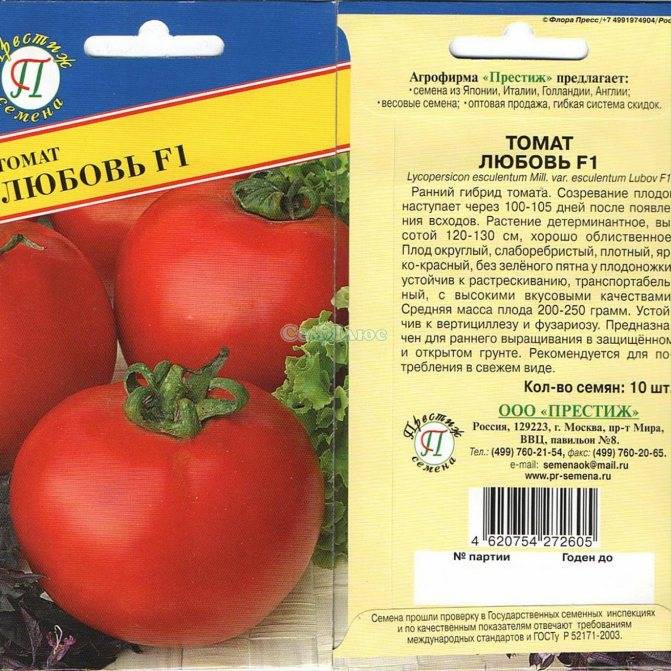 Описание сорта томата елена, особенности выращивания и урожайность – дачные дела
