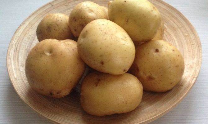 Картофель каратоп: характеристики сорта, вкусовые качества, отзывы