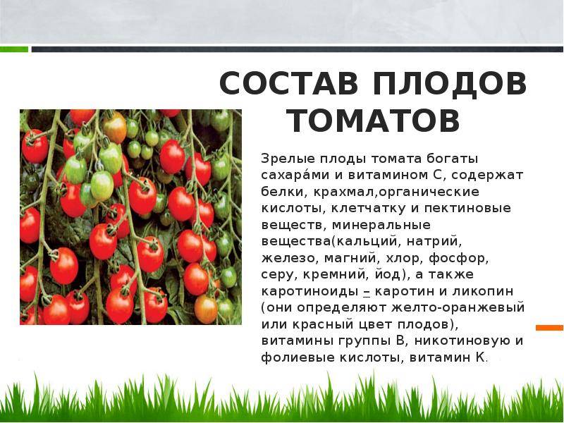Что делать с помидорной ботвой осенью. куда деть помидорную ботву, чтобы была полезной: 4 совета | дачная жизнь