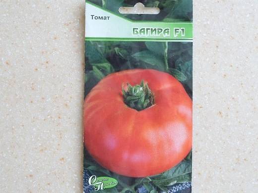 Томат багира f1: характеристика и описание сорта, фото помидоров, отзывы об урожайности куста