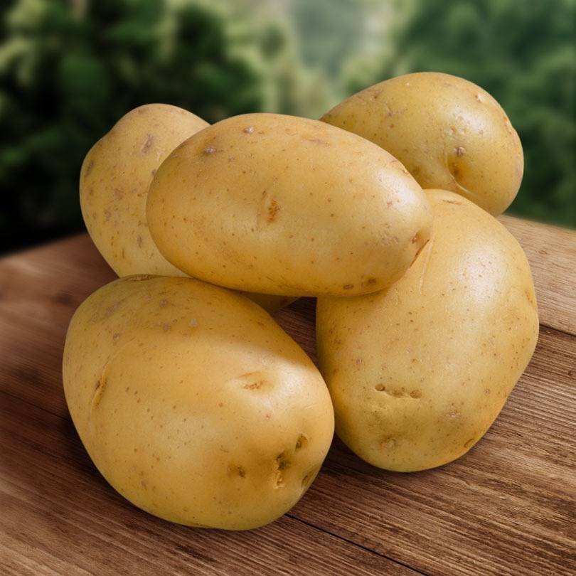 Что собой представляет сорт картофеля каратоп?