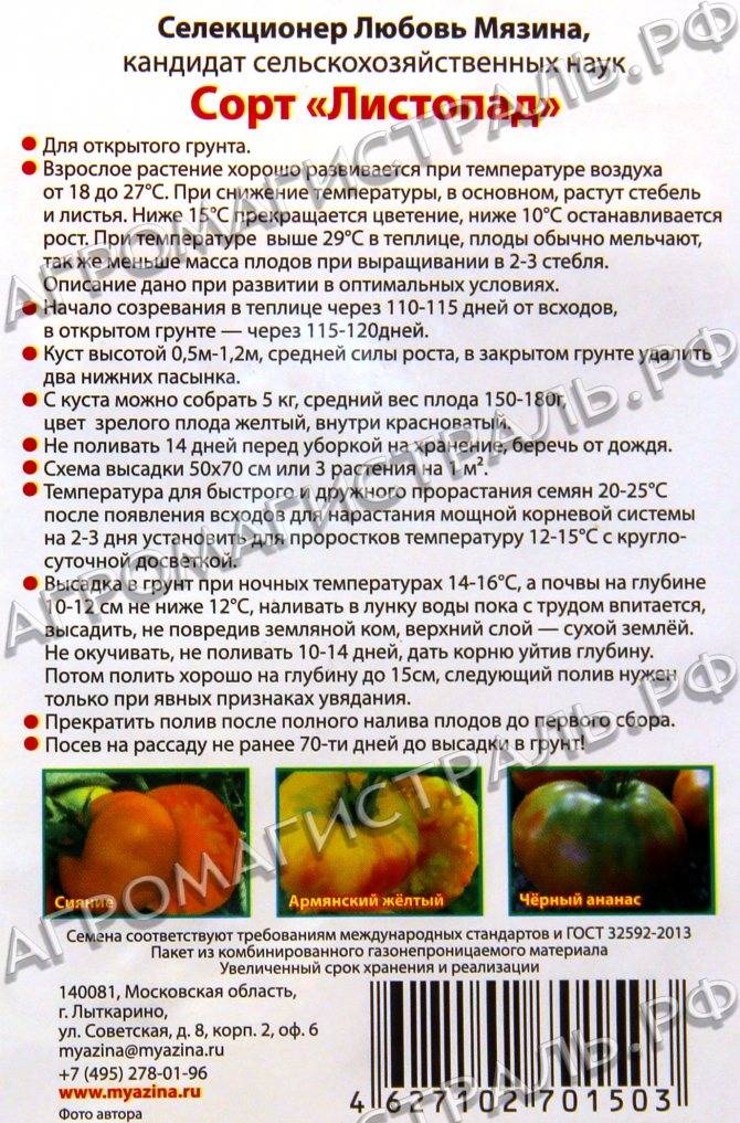 Томат моя любовь f1: характеристика и описание сорта с фото и видео, высота куста, отзывы тех, кто сажал семена помидора от фирмы сады россии