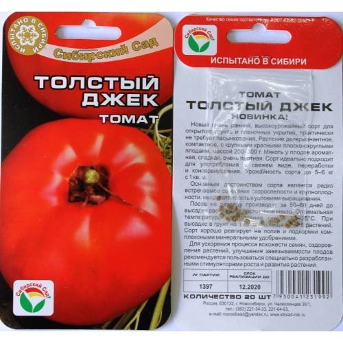 Описание декоративного томата толстушка и уход за растением