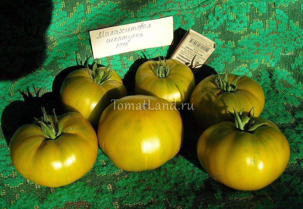 Сорта зеленых томатов. любовь зла, полюбила и их ????