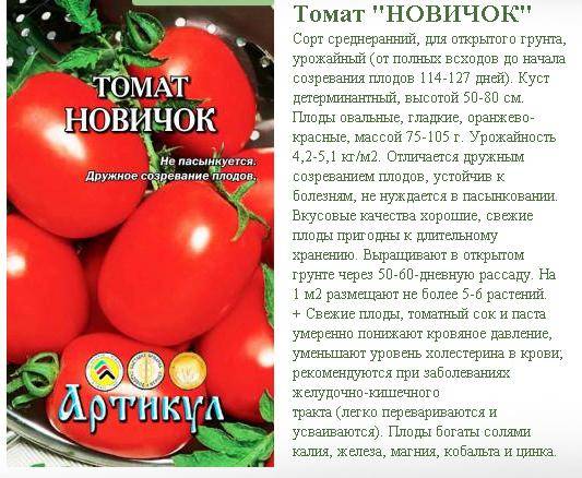Характеристика и описание сорта томата Новичок, урожайность и выращивание
