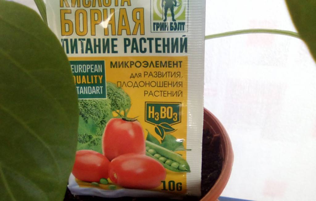 Опрыскивание помидор борной кислотой для завязи: как обработать