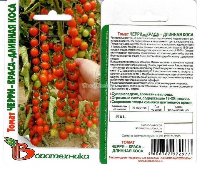 Помидор "рапунцель": описание сорта томата, фото созревших плодов, как вырастить в домашних условиях, а также как бороться с вредителями на растениях русский фермер