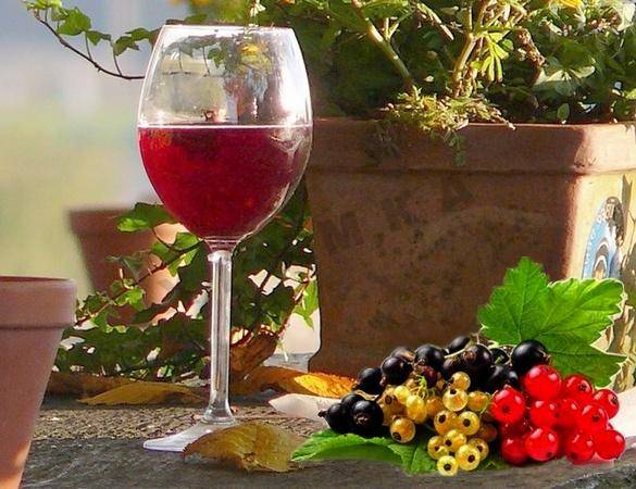 Плодово-ягодные вина простор для фантазии