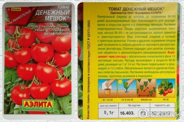 Характеристики и описание сорта томата Денежный мешок, его урожайность