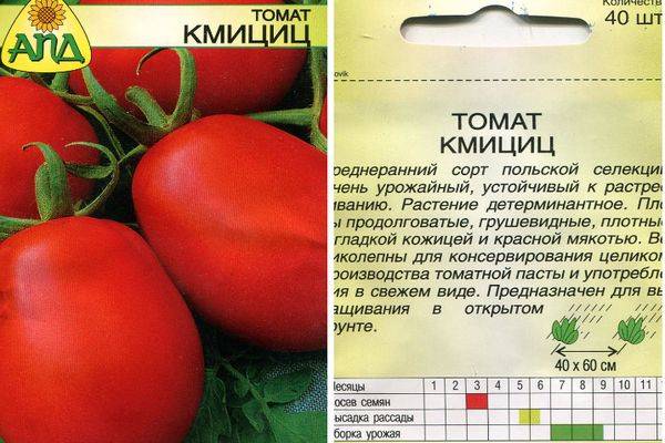 Лиза – среднеранний сорт томатов. рекомендации, описание, секреты богатого урожая
