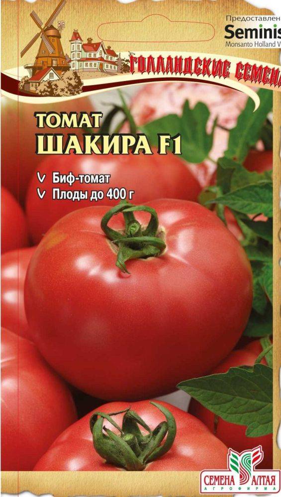 Томат шакира f1: характеристика и описание сорта, отзывы об урожайности, фото помидоров