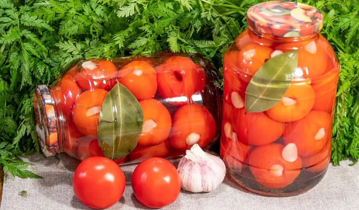 Лучшие рецепты соленых помидоров в банках горячим способом на зиму