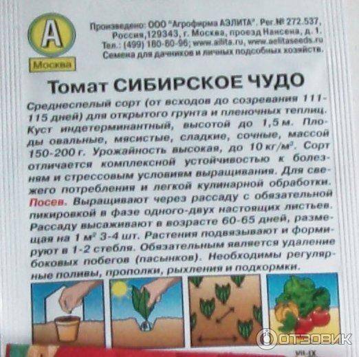 Томат сибирское чудо: описание и урожайность сорта, фото, отзывы