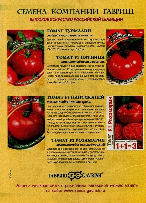 35 сортов штамбовых томатов, что это такое, для открытого грунта
