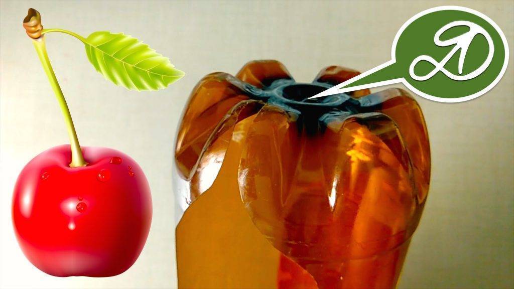 Приспособление для сбора яблок с дерева своими руками: 5 видов плодосъемников