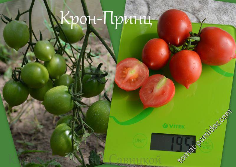 Популярные перцевидные сорта томатов, их качественные характеристики
