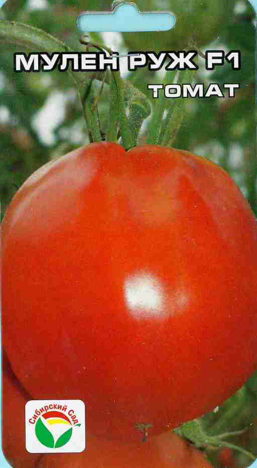 Раннеспелый томат бурлак: высокий урожай в любой сезон