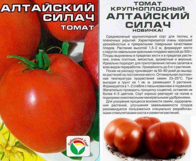 Томат "краснобай f1": описание сорта, выращивание и фото русский фермер