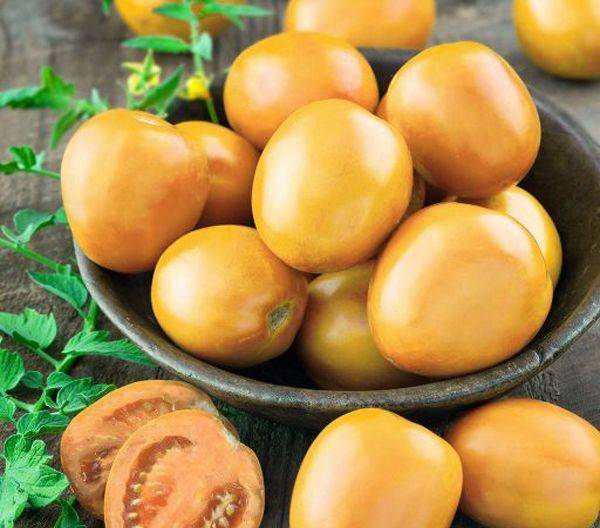 Томат золотое руно: описание сорта, характеристика, отзывы об урожайности, фото - все о помидорках