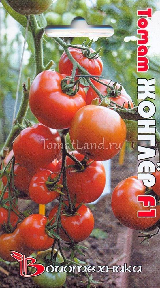 Томат жонглер f1: описание и отзывы тех, кто выращивал, урожайность гибрида, его преимущества и недостатки, секреты удачного урожая