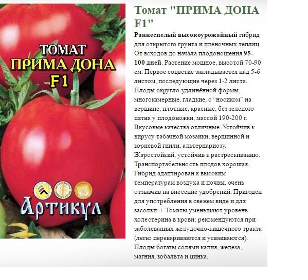 Описание сорта томата примадонна, особенности выращивания и ухода