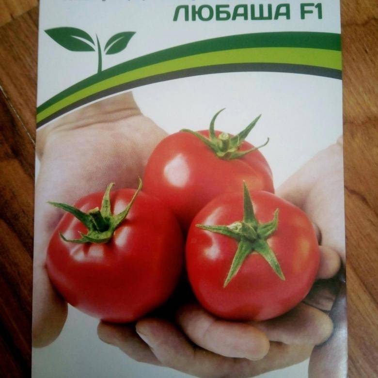 Ультраранние помидоры любаша: описание сорта, фото и отзывы