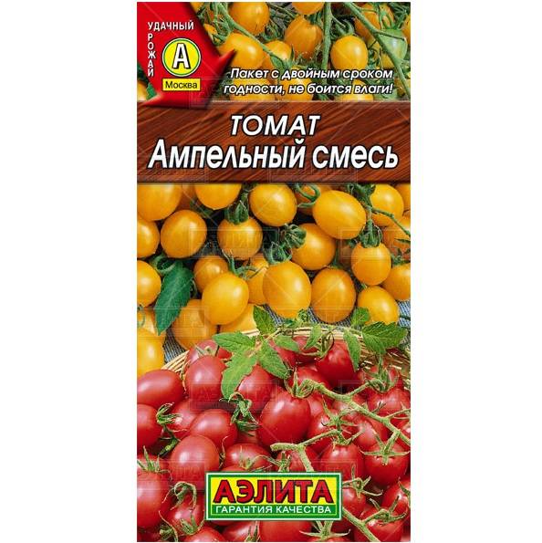 Ампельные томаты: сорта, особенности выращивания, борьба с болезнями