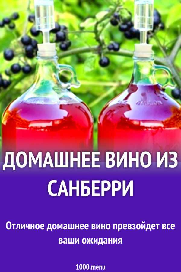 Санберри полезные свойства и противопоказания, рецепты приготовления, заготовка на зиму (варенье из ягоды, джем, компот) + фото