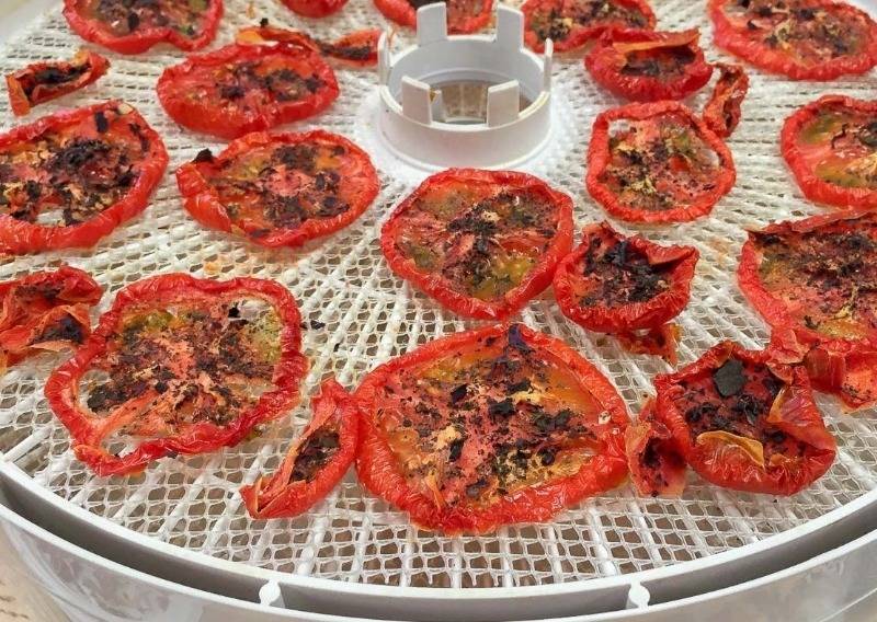 Как приготовить вяленые помидоры в сушилке на зиму в домашних условиях