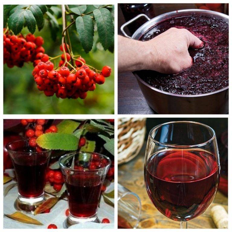 Вино из клюквы: простые рецепты в домашних условиях - на сайте receptsamogona.