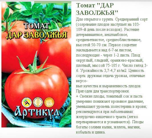 Сорт томатов невский