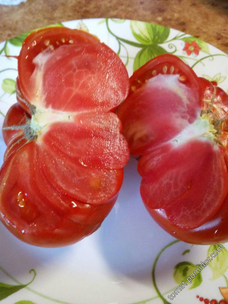 Описание сорта томат шунтукский великан и его характеристики