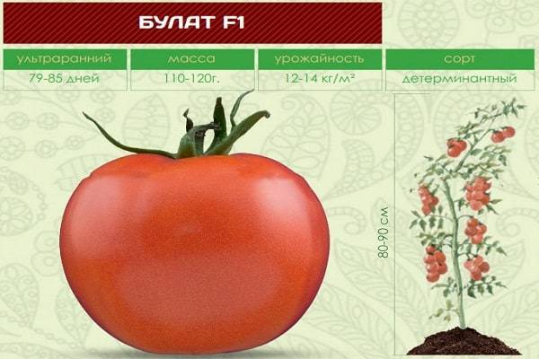 Семена томат империя розовая f1: описание сорта, фото