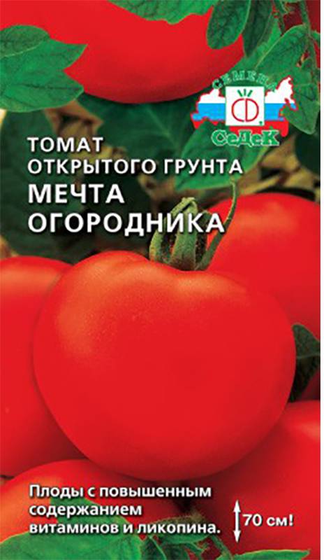 Элитные плоды на участке — томат мечта огородника: полное описание и советы